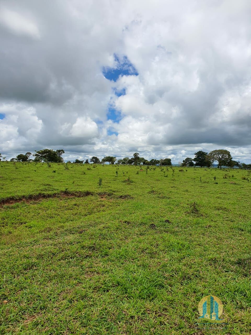 Fazenda em Caiapônia/Goiás — Ref IUZTNV — Imagem 2