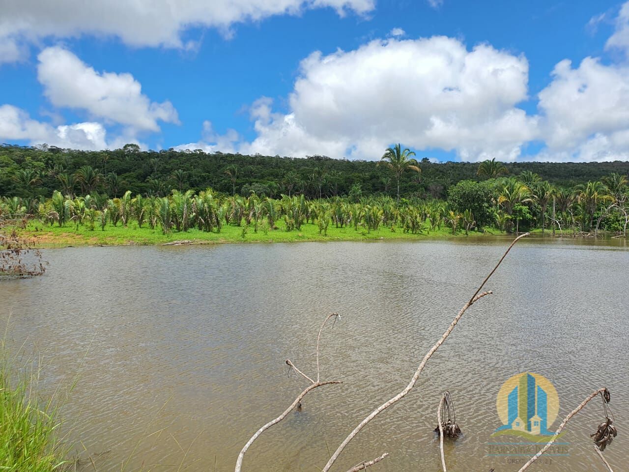 Fazenda em Caiapônia/Goiás — Ref IUZTNV — Imagem 6