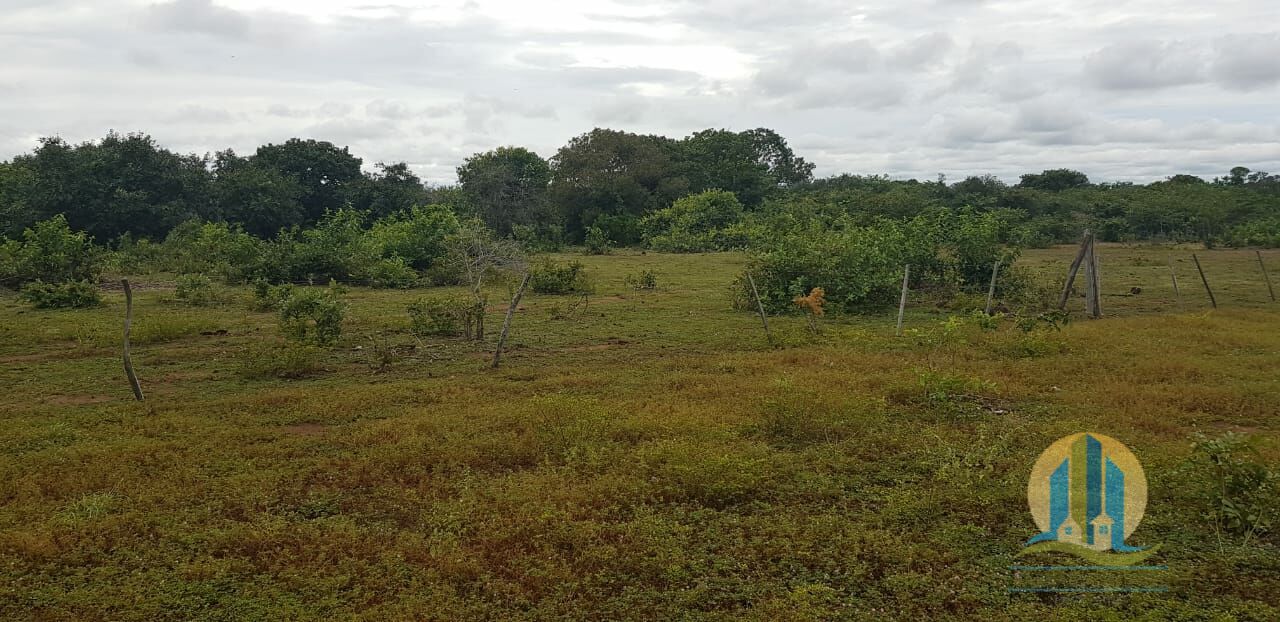 Fazenda em Santa Rita do Tocantins/Tocantins — Ref 8AEQ6W — Imagem 15