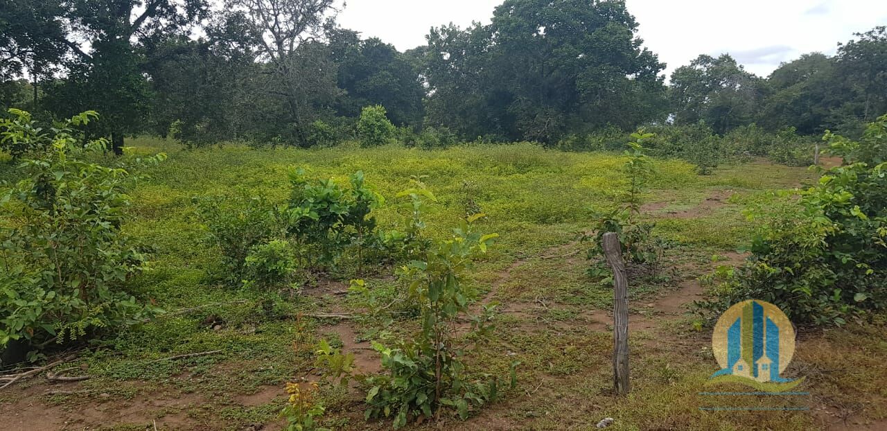 Fazenda em Santa Rita do Tocantins/Tocantins — Ref 8AEQ6W — Imagem 19