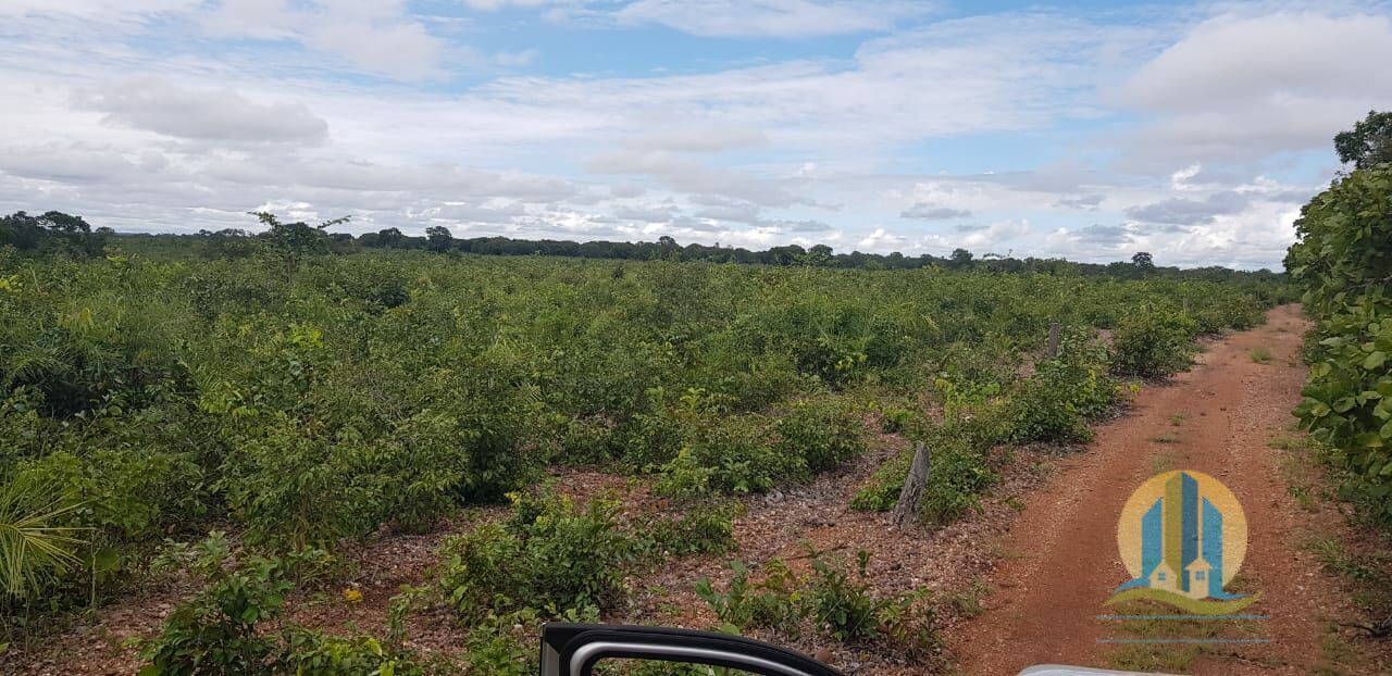 Fazenda em Santa Rita do Tocantins/Tocantins — Ref 8AEQ6W — Imagem 23
