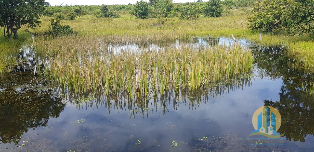 Fazenda em Santa Rita do Tocantins/Tocantins — Ref 8AEQ6W — Imagem 8
