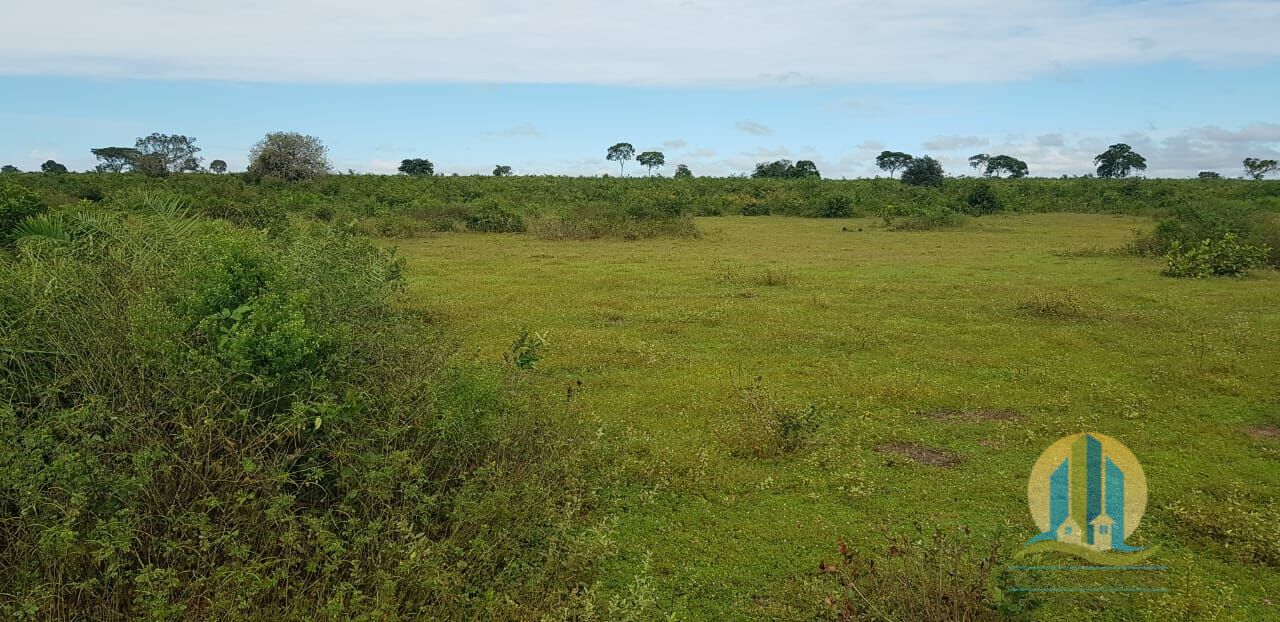 Fazenda em Santa Rita do Tocantins/Tocantins — Ref 8AEQ6W — Imagem 29