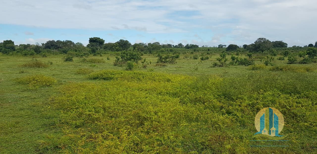 Fazenda em Santa Rita do Tocantins/Tocantins — Ref 8AEQ6W — Imagem 34