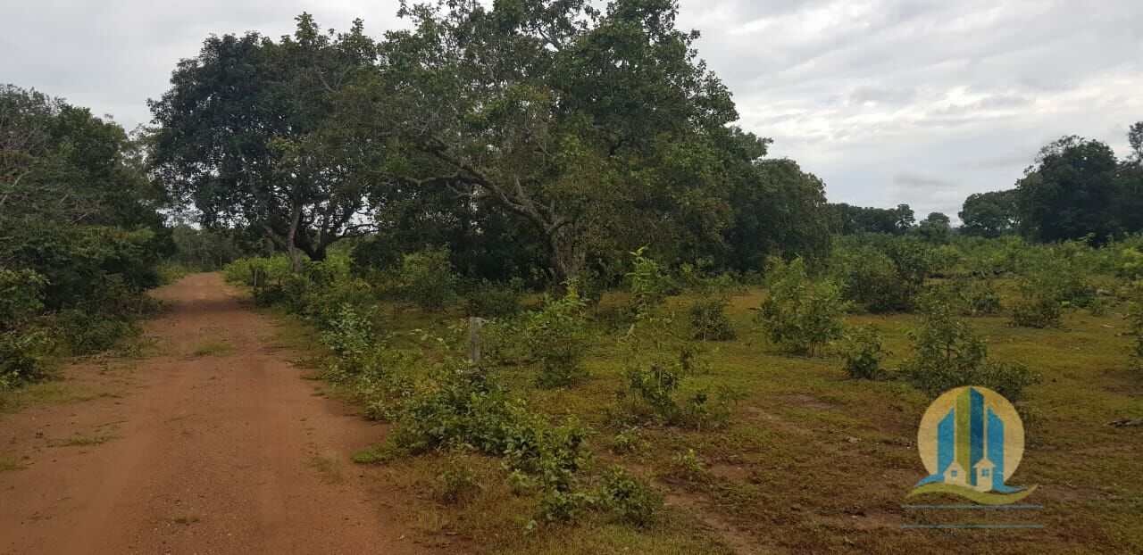 Fazenda em Santa Rita do Tocantins/Tocantins — Ref 8AEQ6W — Imagem 21