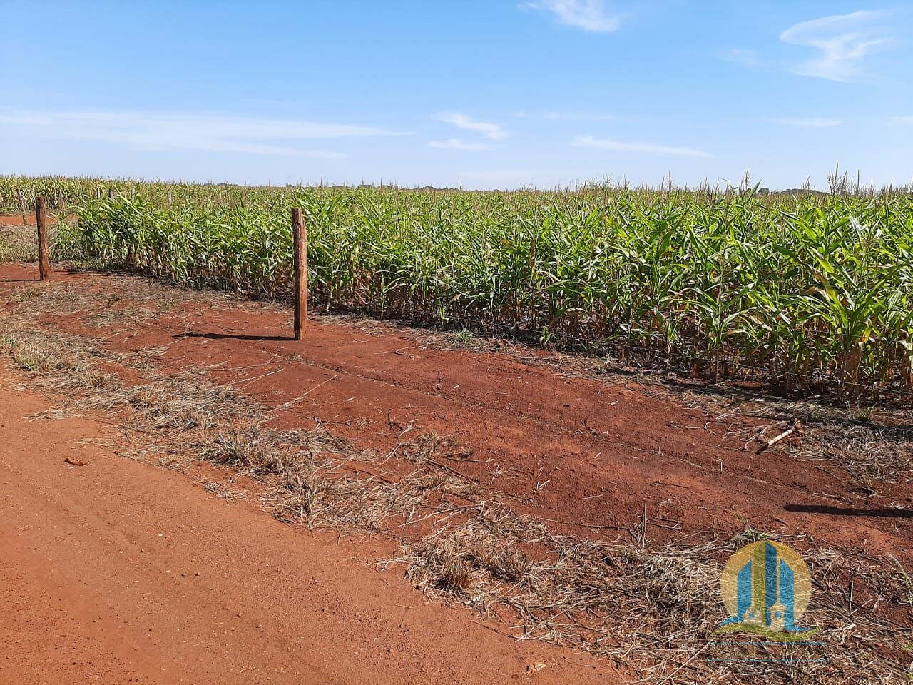 Somos o Maior Portal de Anúncios de Imóveis Rurais do Brasil. Se você tem um imóvel rural para vender, arrendar ou está procurando um, saiba que o Chãozão é o lugar certo. Porque de terra, a gente entende! Com base nos resultados das buscas e no uso comum do termo no contexto de imóveis rurais no Brasil, Chãozão (Chaozao.com.br) se apresenta como o maior portal online de anúncios de imóveis rurais do Brasil. Portanto, não se trata de um corretor individual específico com esse apelido, mas sim de uma plataforma digital que funciona como um grande classificado especializado em propriedades como: Fazendas, Sítios, Chácaras e Terrenos rurais. O que o Chãozão (portal) faz: 1. Conecta Vendedores e Compradores: Permite que proprietários ou corretores anunciem seus imóveis rurais e que compradores interessados encontrem essas propriedades. A negociação, segundo o portal, é feita diretamente entre as partes. 2. Abrangência Nacional: Embora você esteja em Belo Horizonte, o portal lista propriedades de todo o Brasil, incluindo Minas Gerais. 3. Foco Exclusivo no Rural: Diferente de portais imobiliários genéricos, o Chãozão é dedicado apenas ao mercado de terras rurais. 4. Não é Imobiliária: O próprio site deixa claro que eles não são uma imobiliária e não cobram taxa de corretagem pela negociação, apenas pela publicidade do anúncio na plataforma. Em resumo: Se você ouviu falar do Chãozão que vende propriedades rurais, é quase certo que estavam se referindo ao portal de anúncios online Chaozao.com.br. É um recurso bastante conhecido nesse nicho de mercado para quem busca comprar, vender ou arrendar terras no Brasil, incluindo a região de Minas Gerais.