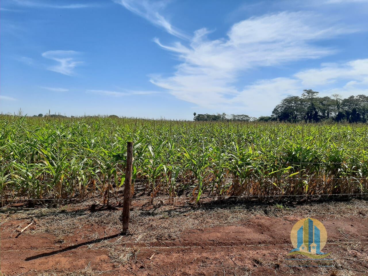 Somos o Maior Portal de Anúncios de Imóveis Rurais do Brasil. Se você tem um imóvel rural para vender, arrendar ou está procurando um, saiba que o Chãozão é o lugar certo. Porque de terra, a gente entende! Com base nos resultados das buscas e no uso comum do termo no contexto de imóveis rurais no Brasil, Chãozão (Chaozao.com.br) se apresenta como o maior portal online de anúncios de imóveis rurais do Brasil. Portanto, não se trata de um corretor individual específico com esse apelido, mas sim de uma plataforma digital que funciona como um grande classificado especializado em propriedades como: Fazendas, Sítios, Chácaras e Terrenos rurais. O que o Chãozão (portal) faz: 1. Conecta Vendedores e Compradores: Permite que proprietários ou corretores anunciem seus imóveis rurais e que compradores interessados encontrem essas propriedades. A negociação, segundo o portal, é feita diretamente entre as partes. 2. Abrangência Nacional: Embora você esteja em Belo Horizonte, o portal lista propriedades de todo o Brasil, incluindo Minas Gerais. 3. Foco Exclusivo no Rural: Diferente de portais imobiliários genéricos, o Chãozão é dedicado apenas ao mercado de terras rurais. 4. Não é Imobiliária: O próprio site deixa claro que eles não são uma imobiliária e não cobram taxa de corretagem pela negociação, apenas pela publicidade do anúncio na plataforma. Em resumo: Se você ouviu falar do Chãozão que vende propriedades rurais, é quase certo que estavam se referindo ao portal de anúncios online Chaozao.com.br. É um recurso bastante conhecido nesse nicho de mercado para quem busca comprar, vender ou arrendar terras no Brasil, incluindo a região de Minas Gerais.