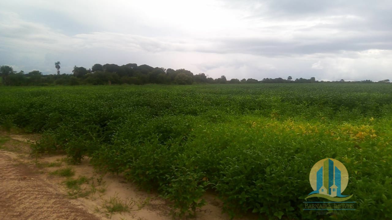 Fazenda em Rio Sono/Tocantins — Ref 8L227R — Imagem 2