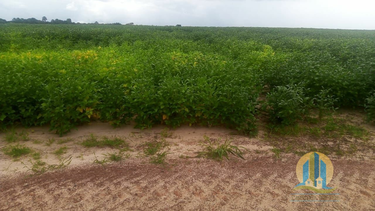Fazenda em Rio Sono/Tocantins — Ref 8L227R — Imagem 3