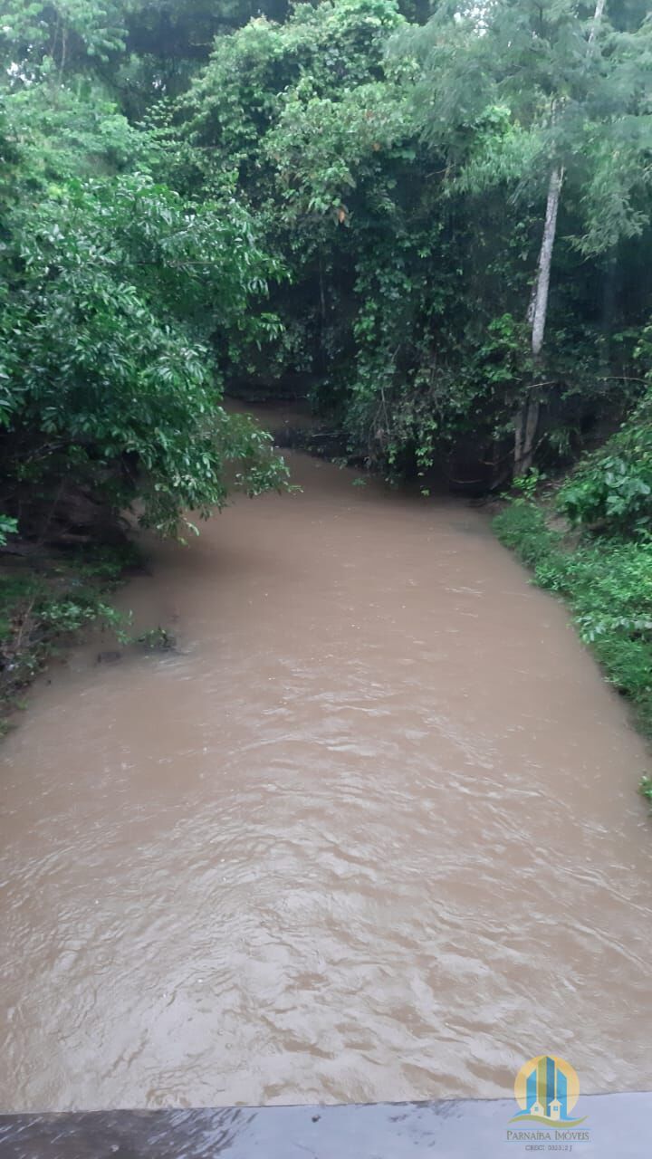 Fazenda em Primavera do Leste/Mato Grosso — Ref O937XN — Imagem 7