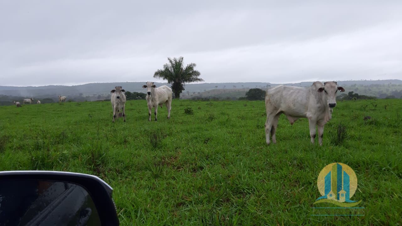 Fazenda em Primavera do Leste/Mato Grosso — Ref O937XN — Imagem 2