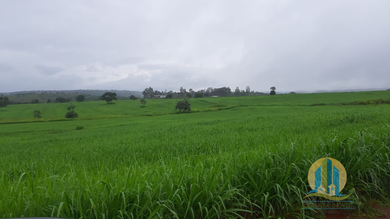Fazenda em Primavera do Leste/Mato Grosso — Ref O937XN — Imagem 3