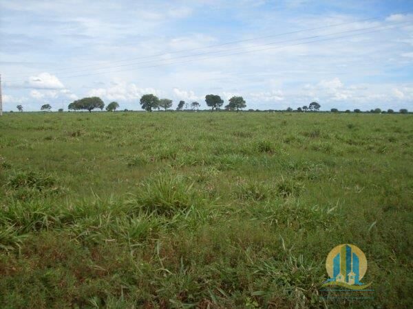 Fazenda em Primavera do Leste/Mato Grosso — Ref O937XN — Imagem 5