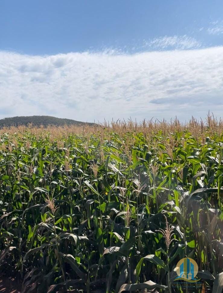 Fazenda em Sidrolândia/Mato Grosso do Sul — Ref WB778B — Imagem 2