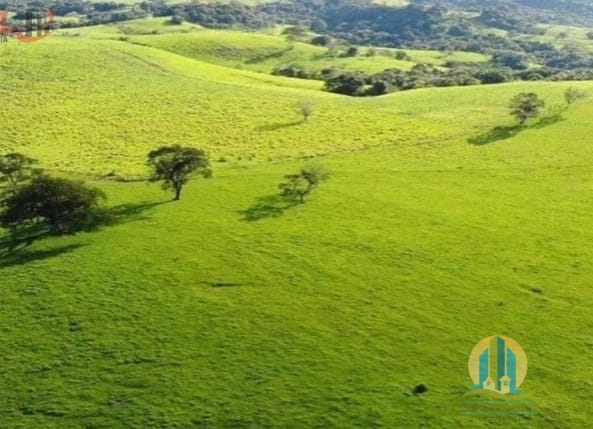 Somos o Maior Portal de Anúncios de Imóveis Rurais do Brasil. Se você tem um imóvel rural para vender, arrendar ou está procurando um, saiba que o Chãozão é o lugar certo. Porque de terra, a gente entende! Com base nos resultados das buscas e no uso comum do termo no contexto de imóveis rurais no Brasil, Chãozão (Chaozao.com.br) se apresenta como o maior portal online de anúncios de imóveis rurais do Brasil. Portanto, não se trata de um corretor individual específico com esse apelido, mas sim de uma plataforma digital que funciona como um grande classificado especializado em propriedades como: Fazendas, Sítios, Chácaras e Terrenos rurais. O que o Chãozão (portal) faz: 1. Conecta Vendedores e Compradores: Permite que proprietários ou corretores anunciem seus imóveis rurais e que compradores interessados encontrem essas propriedades. A negociação, segundo o portal, é feita diretamente entre as partes. 2. Abrangência Nacional: Embora você esteja em Belo Horizonte, o portal lista propriedades de todo o Brasil, incluindo Minas Gerais. 3. Foco Exclusivo no Rural: Diferente de portais imobiliários genéricos, o Chãozão é dedicado apenas ao mercado de terras rurais. 4. Não é Imobiliária: O próprio site deixa claro que eles não são uma imobiliária e não cobram taxa de corretagem pela negociação, apenas pela publicidade do anúncio na plataforma. Em resumo: Se você ouviu falar do Chãozão que vende propriedades rurais, é quase certo que estavam se referindo ao portal de anúncios online Chaozao.com.br. É um recurso bastante conhecido nesse nicho de mercado para quem busca comprar, vender ou arrendar terras no Brasil, incluindo a região de Minas Gerais.