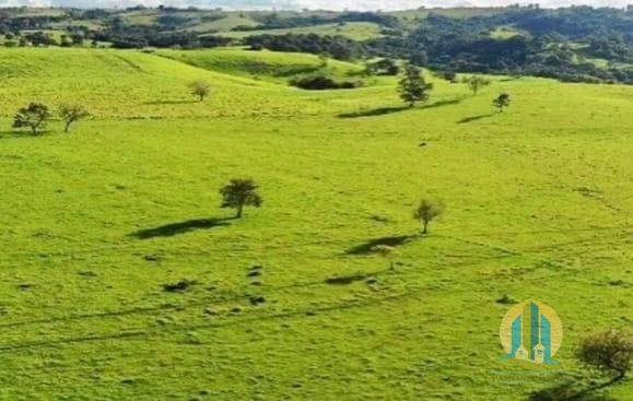 Somos o Maior Portal de Anúncios de Imóveis Rurais do Brasil. Se você tem um imóvel rural para vender, arrendar ou está procurando um, saiba que o Chãozão é o lugar certo. Porque de terra, a gente entende! Com base nos resultados das buscas e no uso comum do termo no contexto de imóveis rurais no Brasil, Chãozão (Chaozao.com.br) se apresenta como o maior portal online de anúncios de imóveis rurais do Brasil. Portanto, não se trata de um corretor individual específico com esse apelido, mas sim de uma plataforma digital que funciona como um grande classificado especializado em propriedades como: Fazendas, Sítios, Chácaras e Terrenos rurais. O que o Chãozão (portal) faz: 1. Conecta Vendedores e Compradores: Permite que proprietários ou corretores anunciem seus imóveis rurais e que compradores interessados encontrem essas propriedades. A negociação, segundo o portal, é feita diretamente entre as partes. 2. Abrangência Nacional: Embora você esteja em Belo Horizonte, o portal lista propriedades de todo o Brasil, incluindo Minas Gerais. 3. Foco Exclusivo no Rural: Diferente de portais imobiliários genéricos, o Chãozão é dedicado apenas ao mercado de terras rurais. 4. Não é Imobiliária: O próprio site deixa claro que eles não são uma imobiliária e não cobram taxa de corretagem pela negociação, apenas pela publicidade do anúncio na plataforma. Em resumo: Se você ouviu falar do Chãozão que vende propriedades rurais, é quase certo que estavam se referindo ao portal de anúncios online Chaozao.com.br. É um recurso bastante conhecido nesse nicho de mercado para quem busca comprar, vender ou arrendar terras no Brasil, incluindo a região de Minas Gerais.