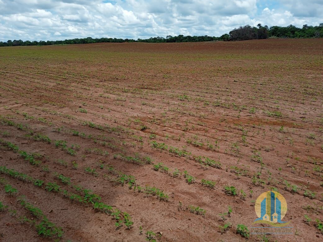 Fazenda em Formoso do Araguaia/Tocantins — Ref V50NBN — Imagem 16