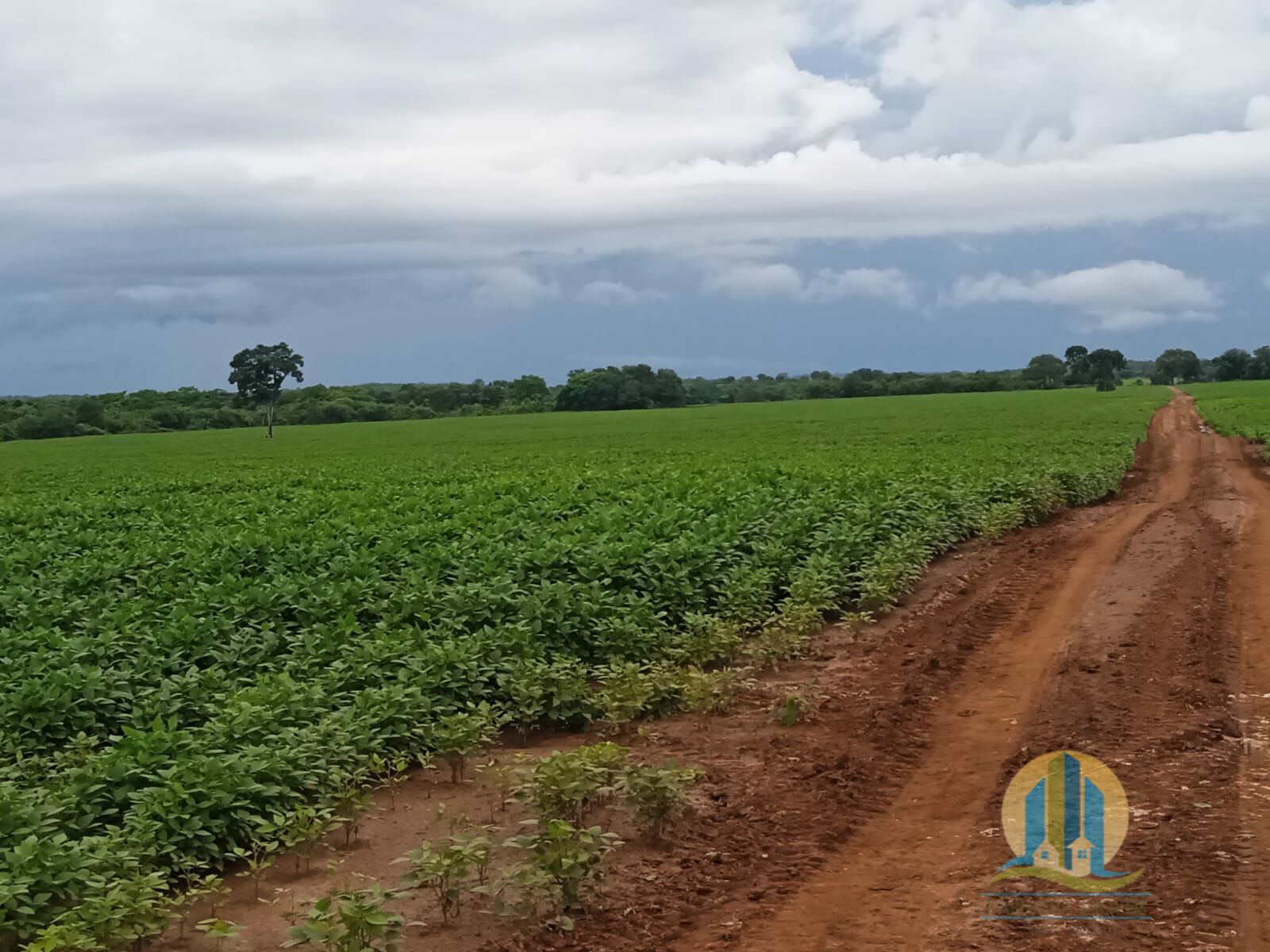 Fazenda em Formoso do Araguaia/Tocantins — Ref V50NBN — Imagem 12