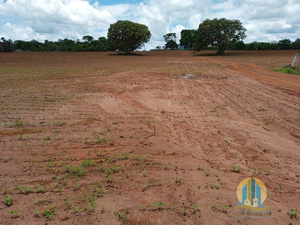 Fazenda em Formoso do Araguaia/Tocantins — Ref V50NBN — Imagem 21