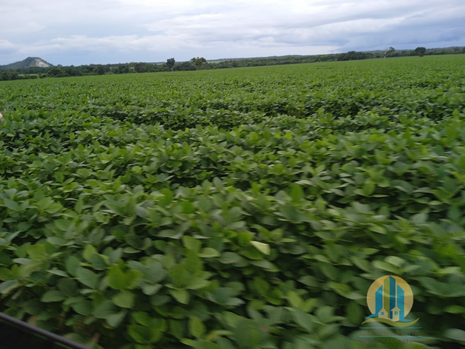 Fazenda em Formoso do Araguaia/Tocantins — Ref V50NBN — Imagem 14