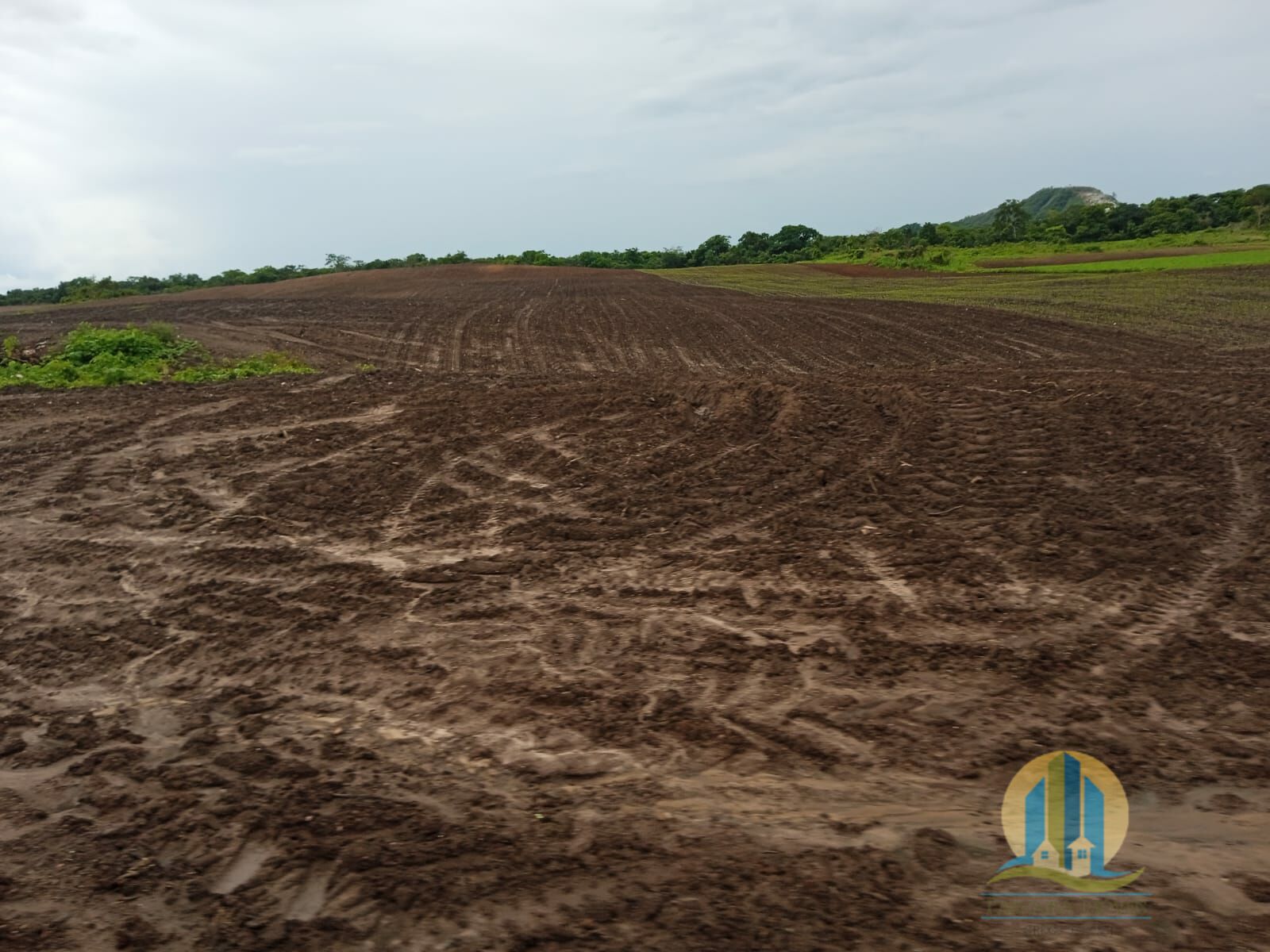 Fazenda em Formoso do Araguaia/Tocantins — Ref V50NBN — Imagem 17
