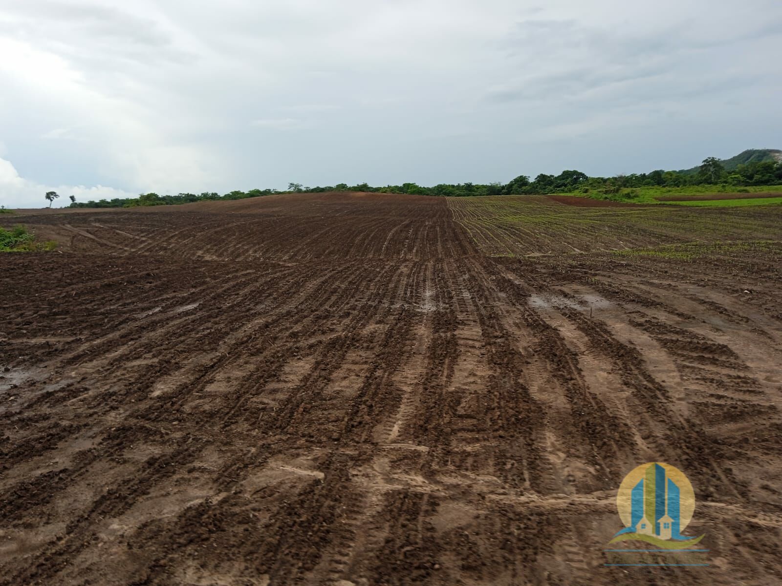 Fazenda em Formoso do Araguaia/Tocantins — Ref V50NBN — Imagem 18