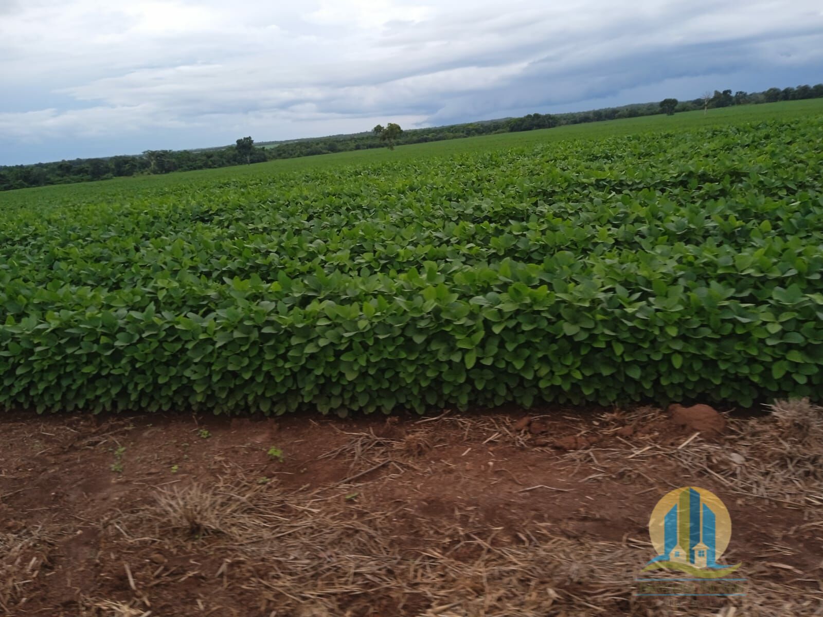 Fazenda em Formoso do Araguaia/Tocantins — Ref V50NBN — Imagem 6