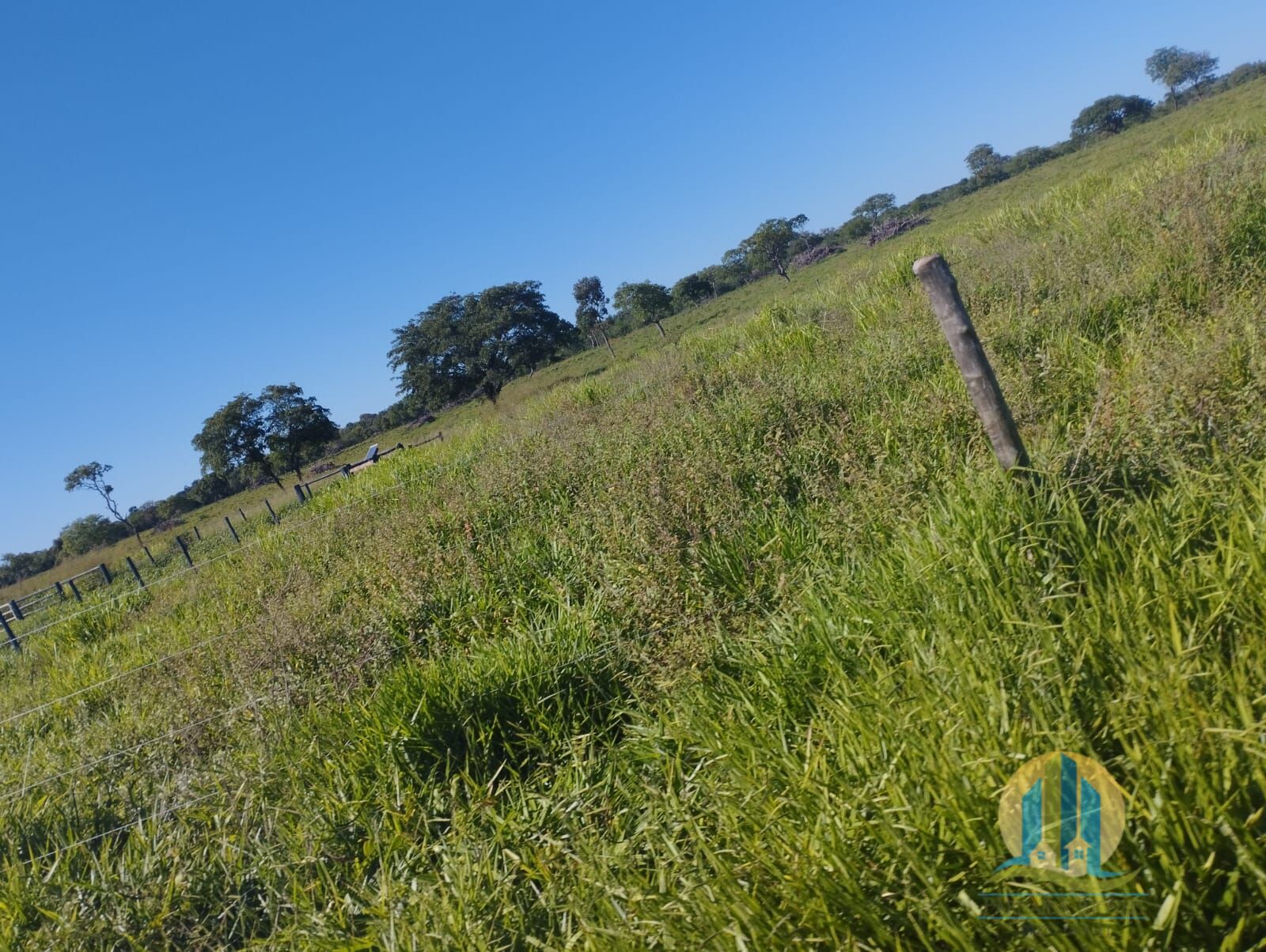 Fazenda em Campo Grande/Mato Grosso do Sul — Ref FG70X3 — Imagem 25