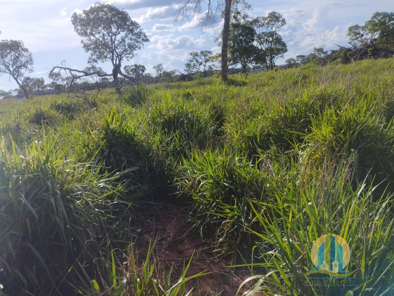 Fazenda em Campo Grande/Mato Grosso do Sul — Ref FG70X3 — Imagem 34