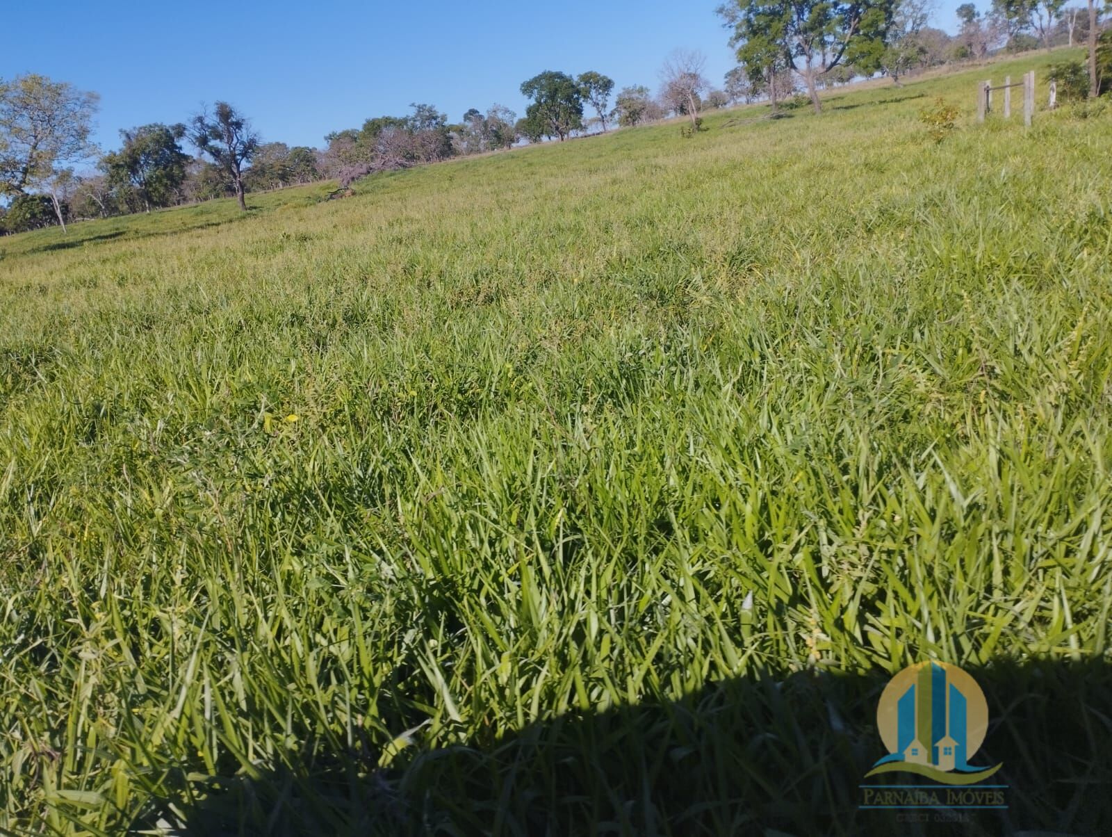 Fazenda em Campo Grande/Mato Grosso do Sul — Ref FG70X3 — Imagem 23