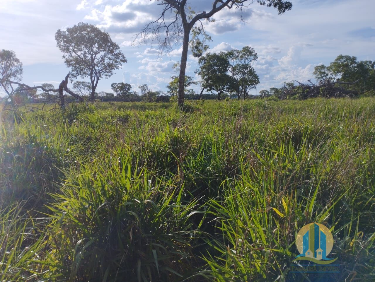 Fazenda em Campo Grande/Mato Grosso do Sul — Ref FG70X3 — Imagem 33