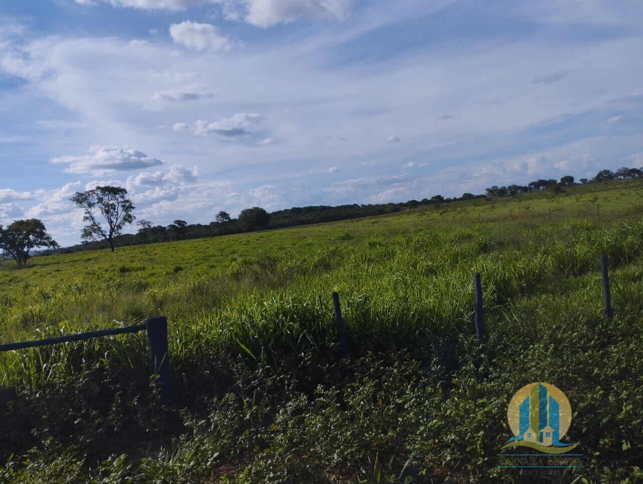 Fazenda em Campo Grande/Mato Grosso do Sul — Ref FG70X3 — Imagem 24