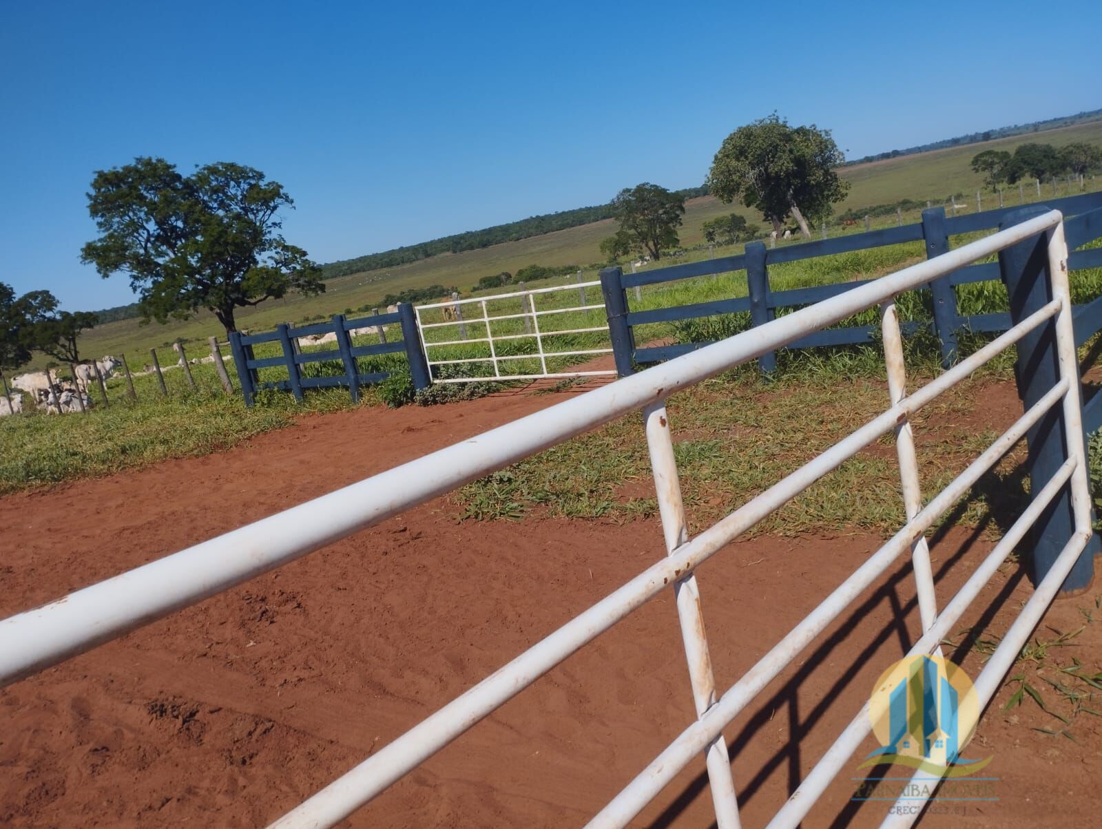 Fazenda em Campo Grande/Mato Grosso do Sul — Ref FG70X3 — Imagem 12