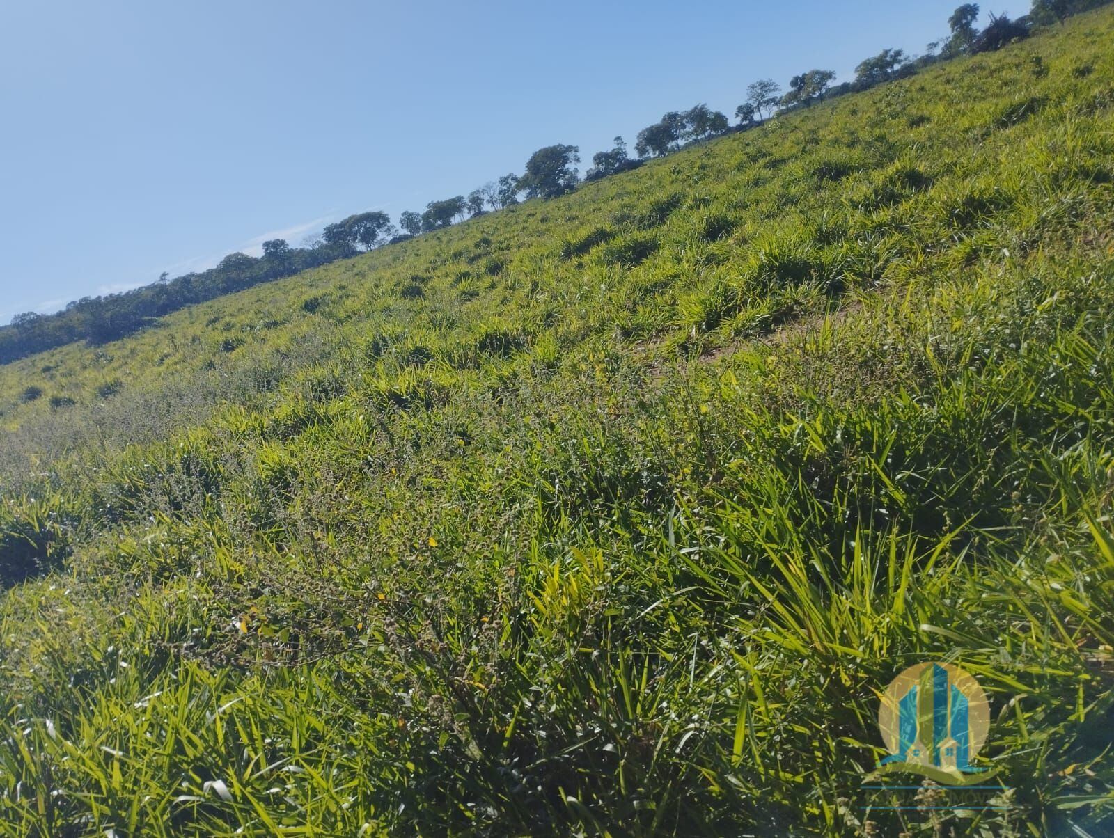 Fazenda em Campo Grande/Mato Grosso do Sul — Ref FG70X3 — Imagem 21