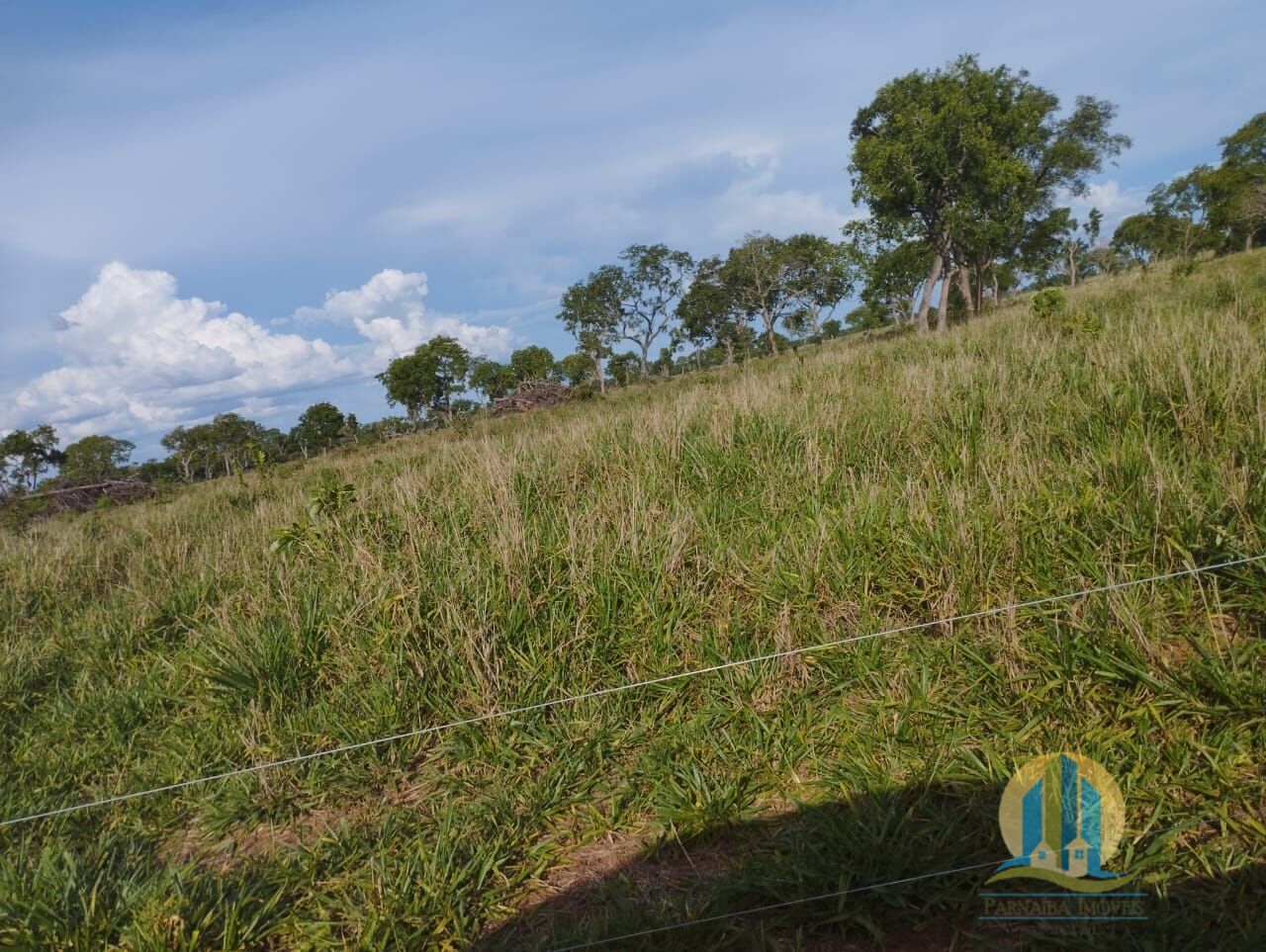 Fazenda em Campo Grande/Mato Grosso do Sul — Ref FG70X3 — Imagem 28