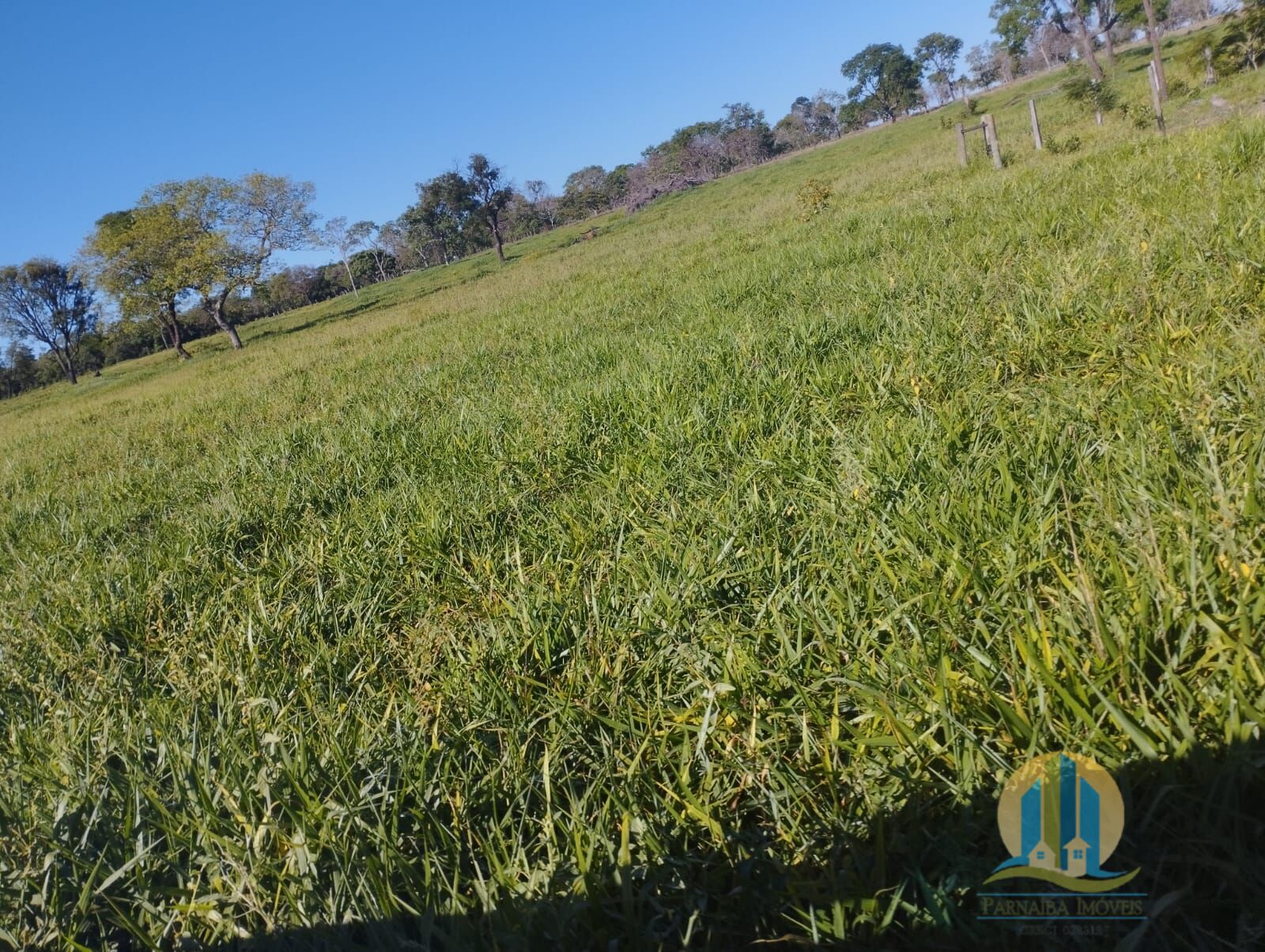 Fazenda em Campo Grande/Mato Grosso do Sul — Ref FG70X3 — Imagem 22