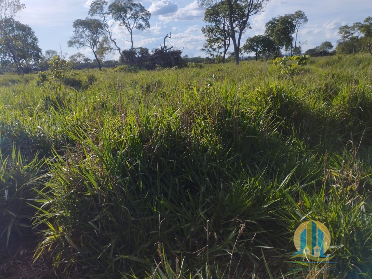 Fazenda em Campo Grande/Mato Grosso do Sul — Ref FG70X3 — Imagem 35