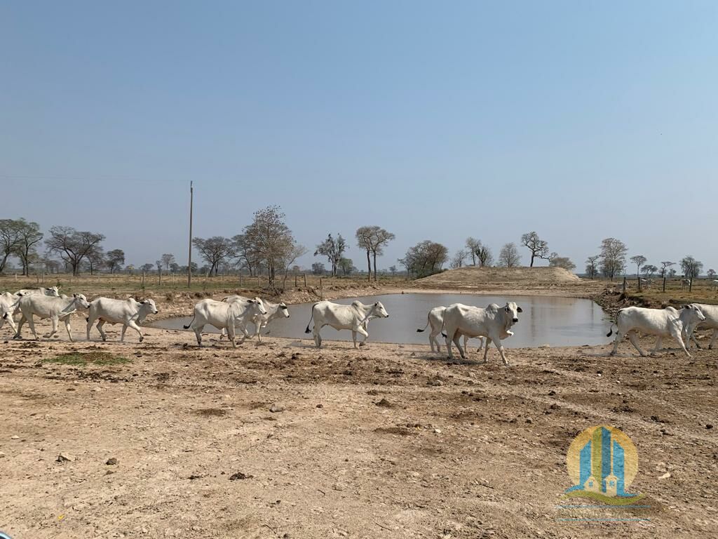 Fazenda em Porto Murtinho/Mato Grosso do Sul — Ref OBYU2Z — Imagem 3