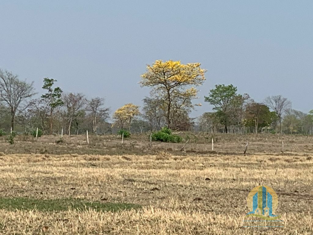 Fazenda em Porto Murtinho/Mato Grosso do Sul — Ref OBYU2Z — Imagem 10