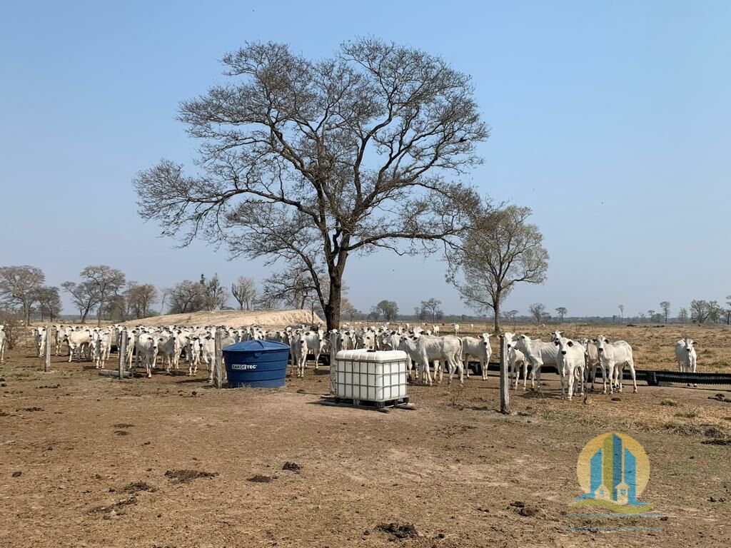 Fazenda em Porto Murtinho/Mato Grosso do Sul — Ref OBYU2Z — Imagem 2