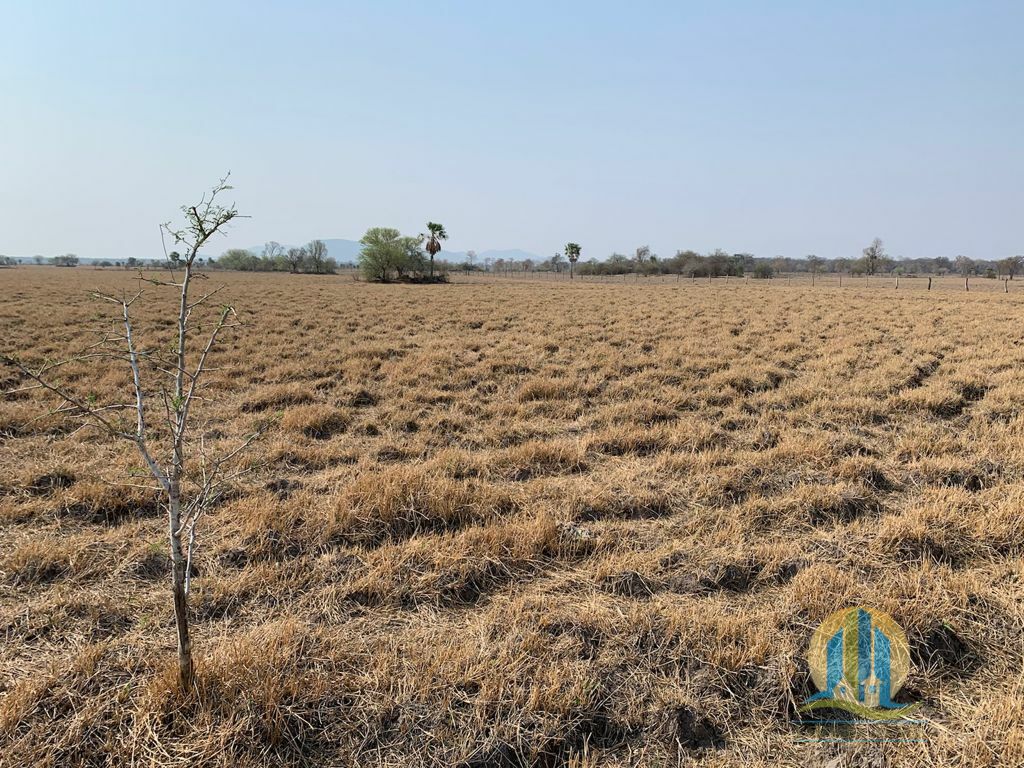 Fazenda em Porto Murtinho/Mato Grosso do Sul — Ref OBYU2Z — Imagem 8