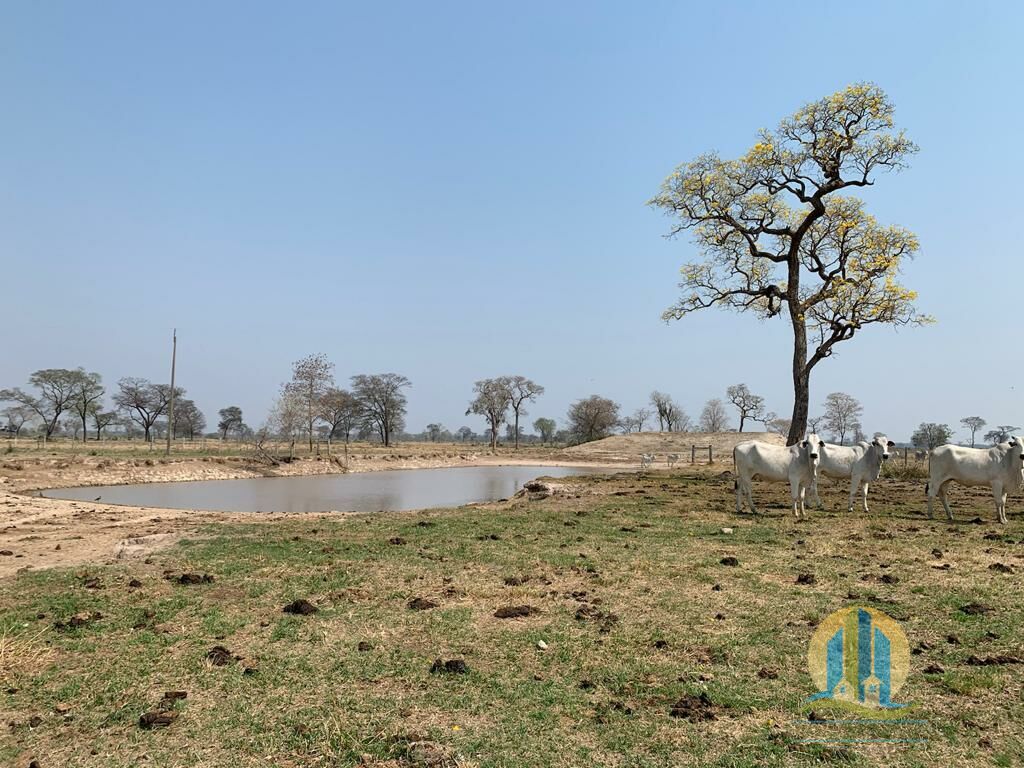 Fazenda em Porto Murtinho/Mato Grosso do Sul — Ref OBYU2Z — Imagem 21