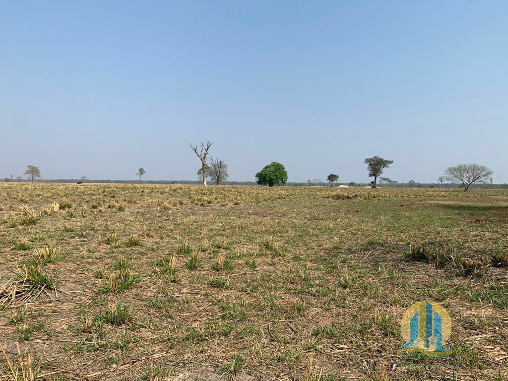 Fazenda em Porto Murtinho/Mato Grosso do Sul — Ref OBYU2Z — Imagem 6