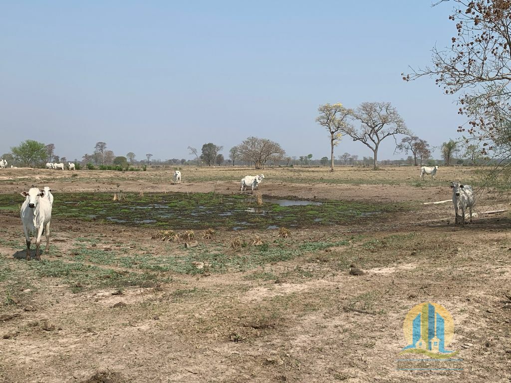 Fazenda em Porto Murtinho/Mato Grosso do Sul — Ref OBYU2Z — Imagem 5