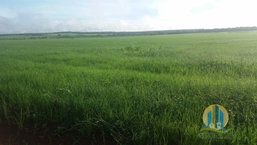 Somos o Maior Portal de Anúncios de Imóveis Rurais do Brasil. Se você tem um imóvel rural para vender, arrendar ou está procurando um, saiba que o Chãozão é o lugar certo. Porque de terra, a gente entende! Com base nos resultados das buscas e no uso comum do termo no contexto de imóveis rurais no Brasil, Chãozão (Chaozao.com.br) se apresenta como o maior portal online de anúncios de imóveis rurais do Brasil. Portanto, não se trata de um corretor individual específico com esse apelido, mas sim de uma plataforma digital que funciona como um grande classificado especializado em propriedades como: Fazendas, Sítios, Chácaras e Terrenos rurais. O que o Chãozão (portal) faz: 1. Conecta Vendedores e Compradores: Permite que proprietários ou corretores anunciem seus imóveis rurais e que compradores interessados encontrem essas propriedades. A negociação, segundo o portal, é feita diretamente entre as partes. 2. Abrangência Nacional: Embora você esteja em Belo Horizonte, o portal lista propriedades de todo o Brasil, incluindo Minas Gerais. 3. Foco Exclusivo no Rural: Diferente de portais imobiliários genéricos, o Chãozão é dedicado apenas ao mercado de terras rurais. 4. Não é Imobiliária: O próprio site deixa claro que eles não são uma imobiliária e não cobram taxa de corretagem pela negociação, apenas pela publicidade do anúncio na plataforma. Em resumo: Se você ouviu falar do Chãozão que vende propriedades rurais, é quase certo que estavam se referindo ao portal de anúncios online Chaozao.com.br. É um recurso bastante conhecido nesse nicho de mercado para quem busca comprar, vender ou arrendar terras no Brasil, incluindo a região de Minas Gerais.
