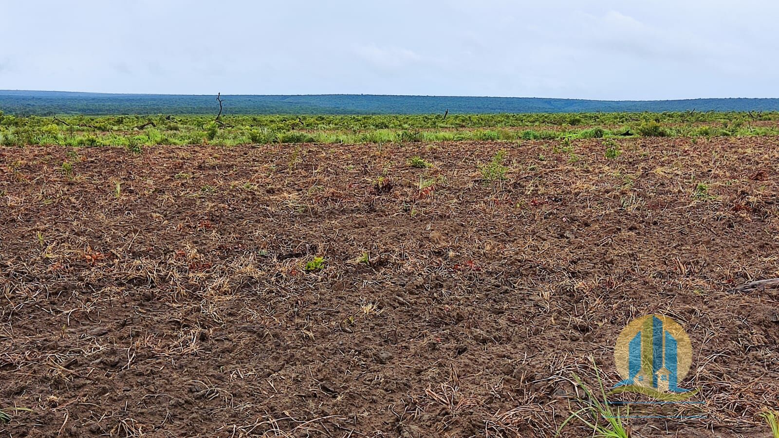 Fazenda em São Félix de Balsas/Maranhão — Ref TV01GK — Imagem 19