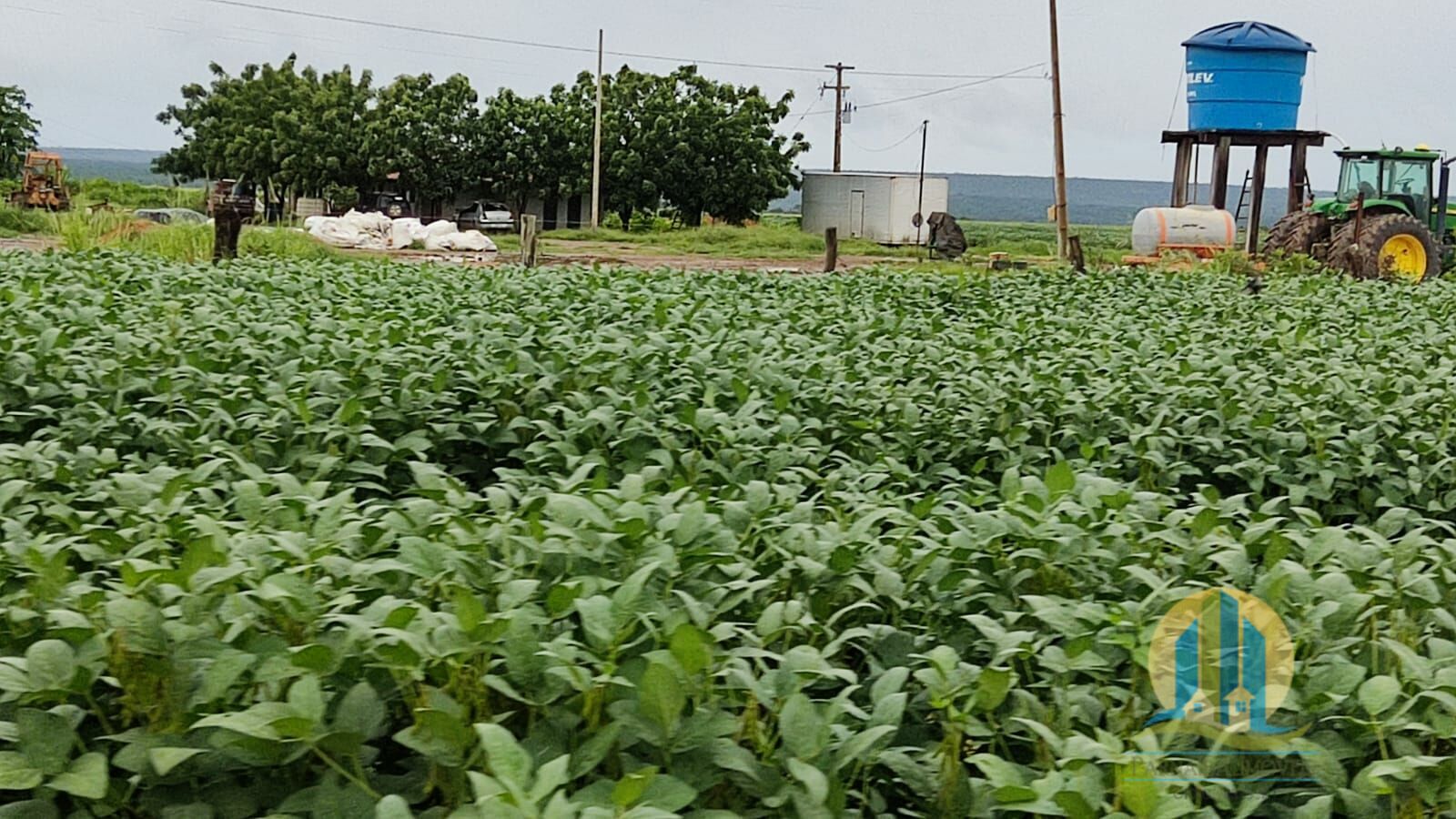 Fazenda em São Félix de Balsas/Maranhão — Ref TV01GK — Imagem 5
