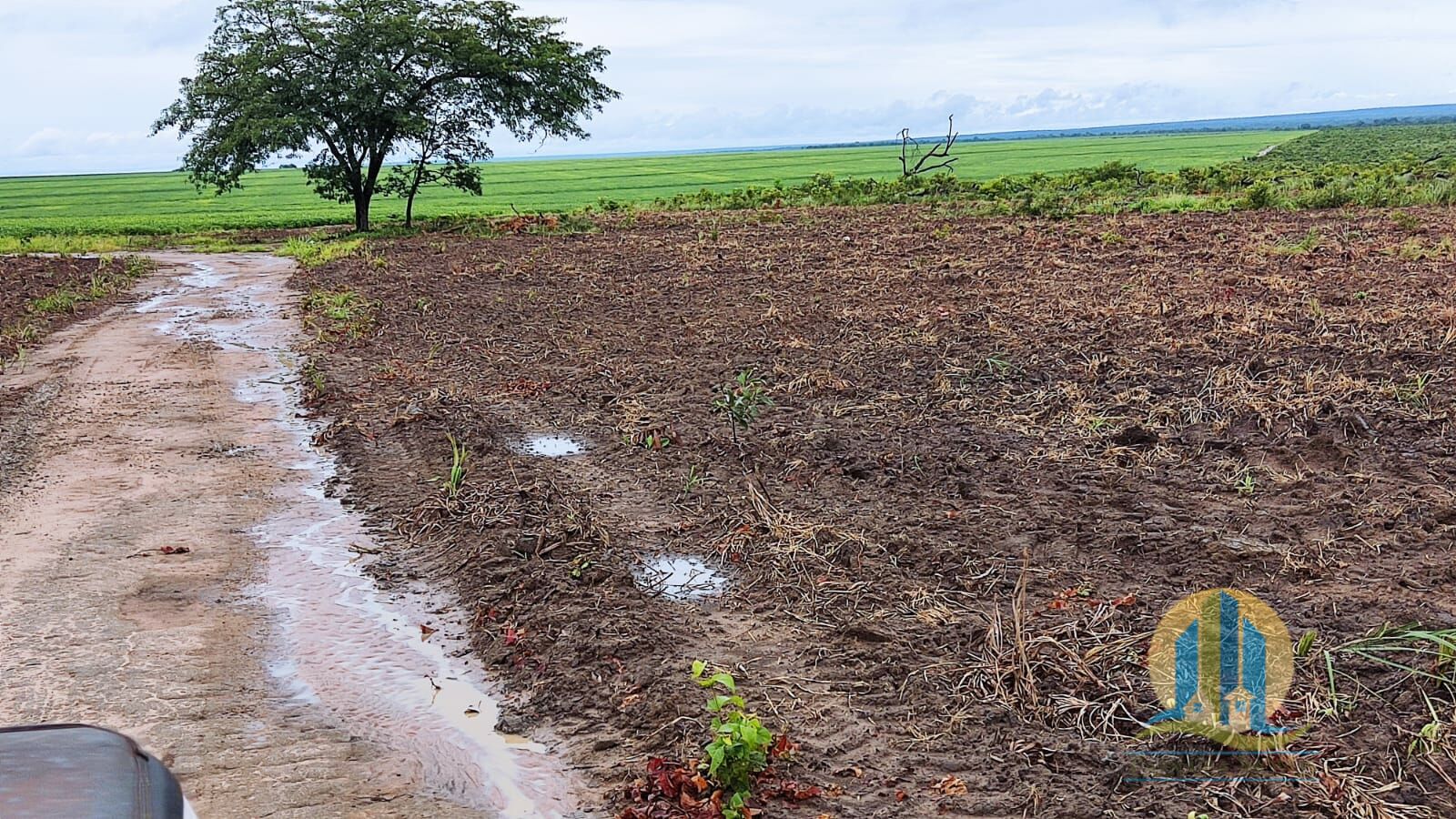 Fazenda em São Félix de Balsas/Maranhão — Ref TV01GK — Imagem 20