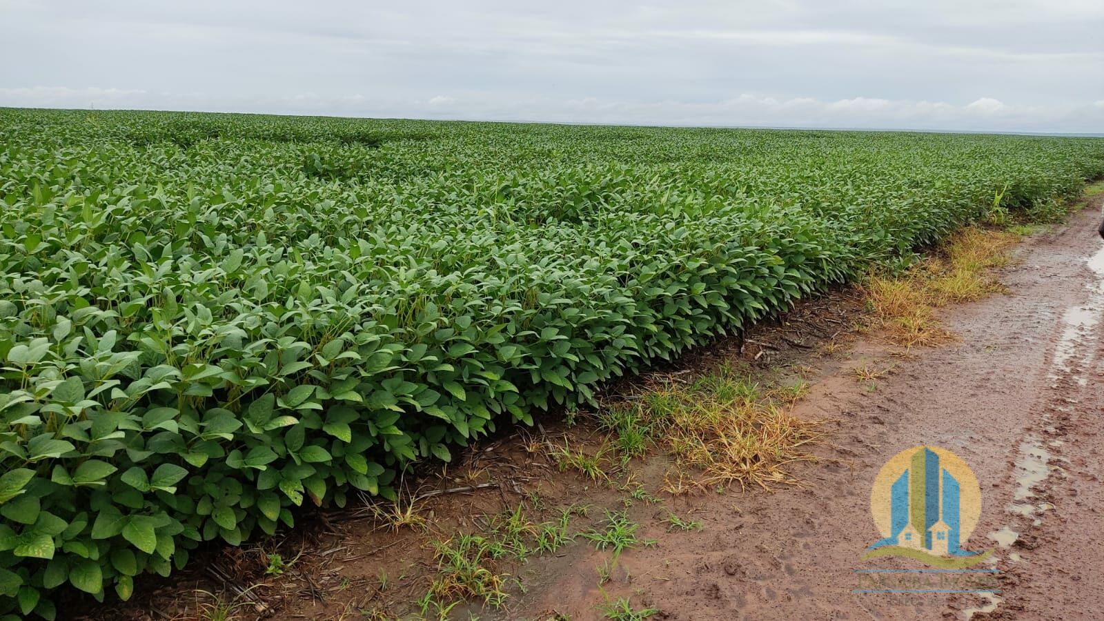 Fazenda em São Félix de Balsas/Maranhão — Ref TV01GK — Imagem 8