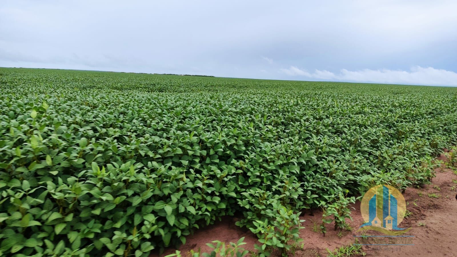 Fazenda em São Félix de Balsas/Maranhão — Ref TV01GK — Imagem 6